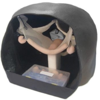 equinemodels-medstore.ie