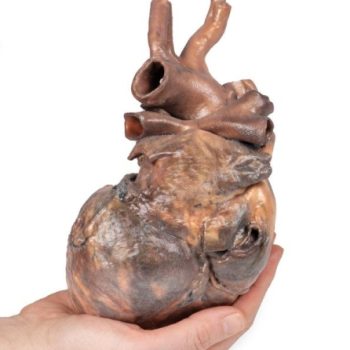 heartmodels-medstore.ie