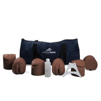 Birthing stages trainer dark skin