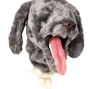 dogtrainingmodels-medstore.ie