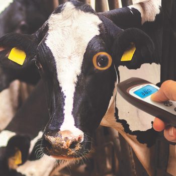 veterinarynoncontactthermometer-medstore.ie