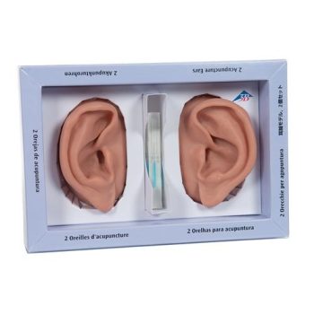 Ear set