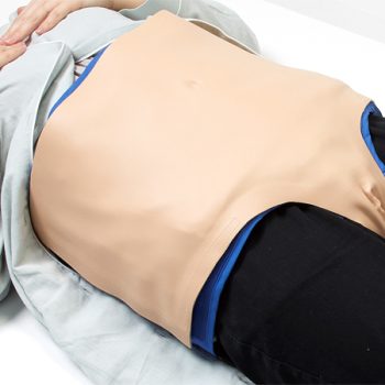 palpationmodels-medstore.ie