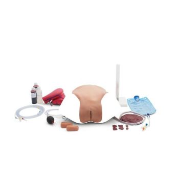 PPH module for birth simulator