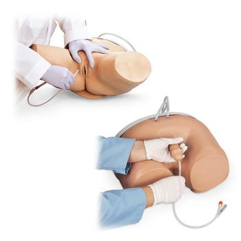 Male/female catheterization simulator set
