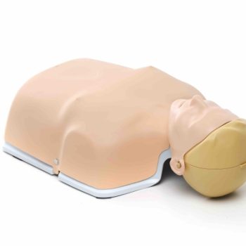 little anne models ireland