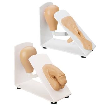 Male and female catheterization trainers model set