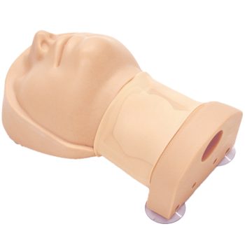 Tracheostomy Simulator