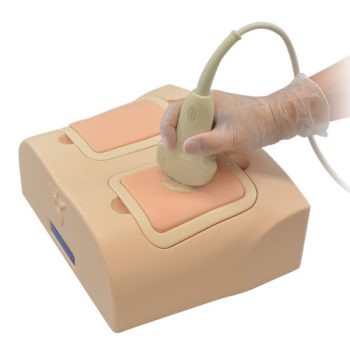 Lung Ultrasound Phantom