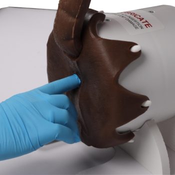 Canine Rectal Exam Task Trainer