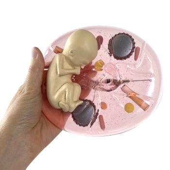 What Mummy Does Baby Does/Thermometer/Pocket