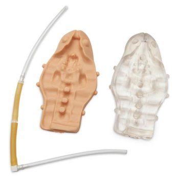 Replacement Kit for a Pediatric Caudal Injection Simulator