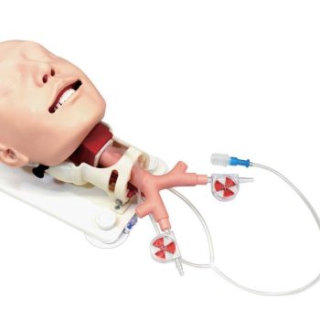 Demonstration Model Difficult Airway Management"