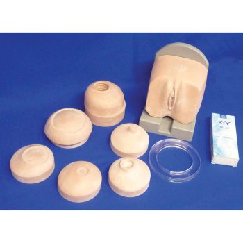 Cervix Examination Set