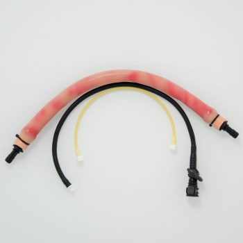 Replacement Vessels Equine Simulator 1.0