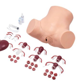 Zoe Gynecological Skills Trainer