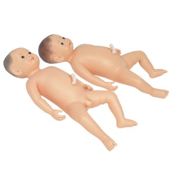 Newborn Bathing and Nursery Care Models