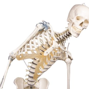 Occupational Safety Package