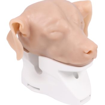 K9 Otoscopy Simulator