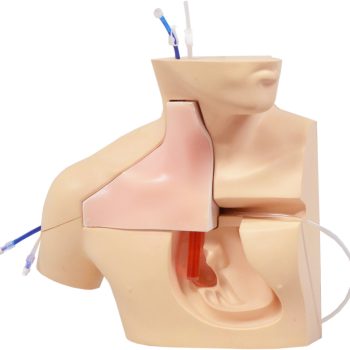 VCⅢ facilitates a sequence of uninterrupted simulation experience for specialist