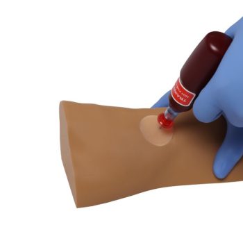 Louis Leg intraosseous task trainer