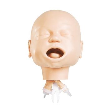 Infant Airway management Trainer/Head Only