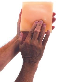 Male Examination Model