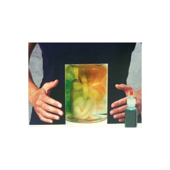 What Mummy Does Baby Does Display