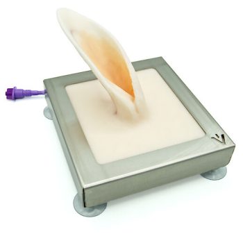 Just Arrived: Blood collection - rabbit