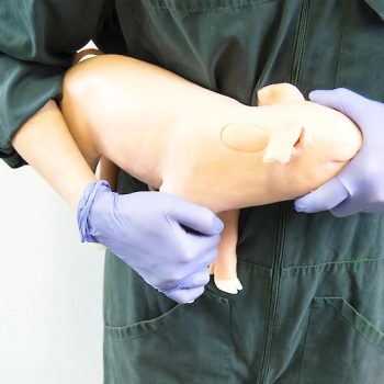 Introducing:  Castration Piglet-Castro