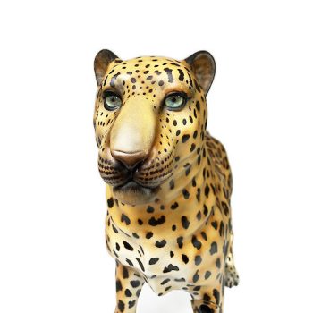 NEW: Gynleo Clinical examination and insemination of Leopardess