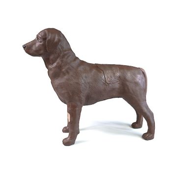 This excellent New Training has just arrived: Gyndog Gynnie