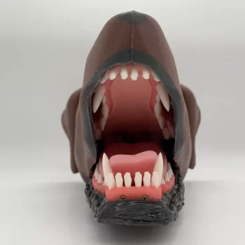 Dental Dog Head Model