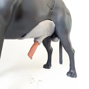 Canine Penis Simulator/Any Training Model