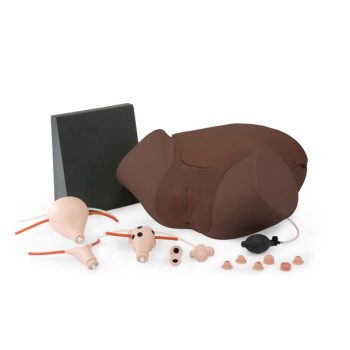 Gynaecologic Skills Trainer