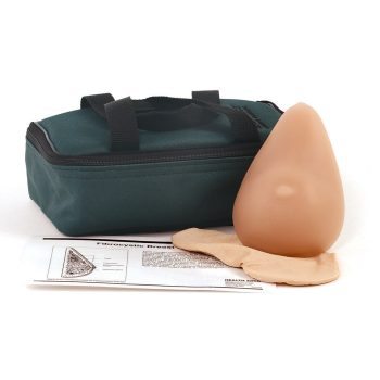 Fibrocystic BSE Model