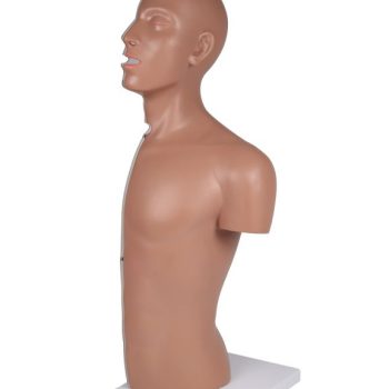 NG & TracheostomyTorso