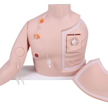 New Moder on the way:  Vascular Victor