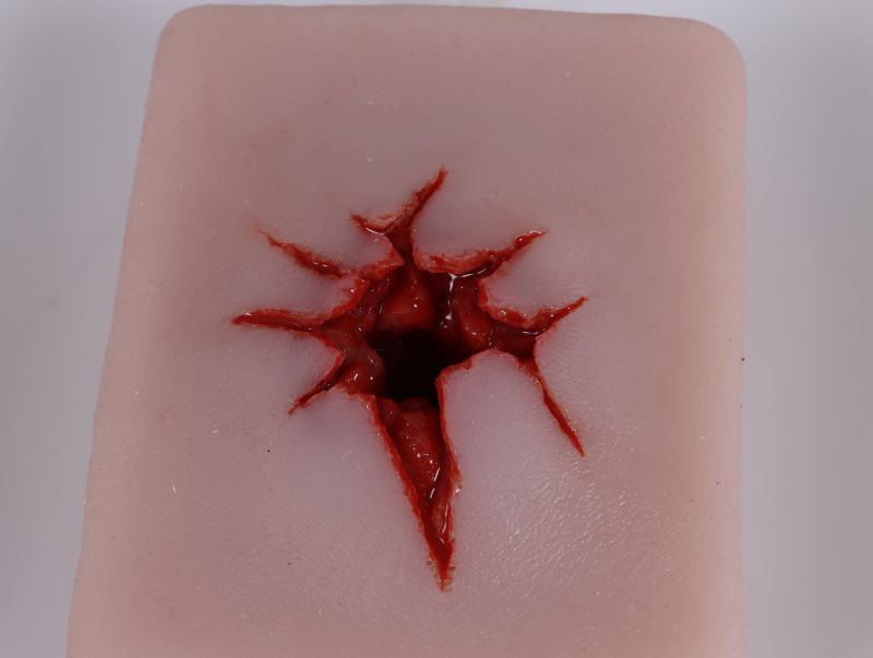 Wound Packing Trainer - Image 6