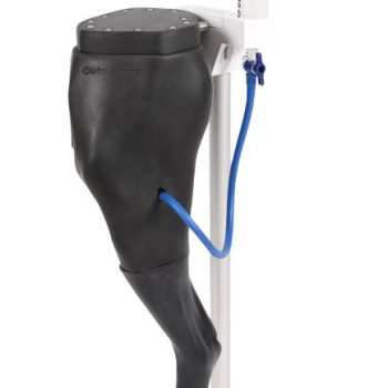 Vicky“ Venipuncture & I.M. Simulator