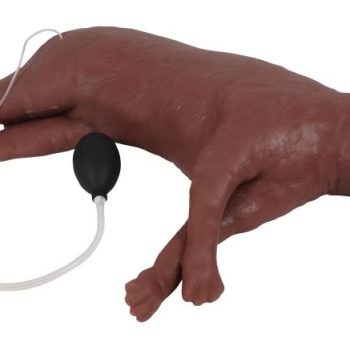 Feline CPR Manikin "CaPpeR