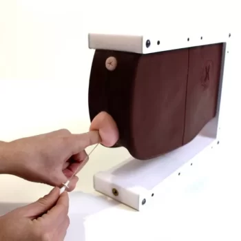 Trainer for learning to catheterize a female dog