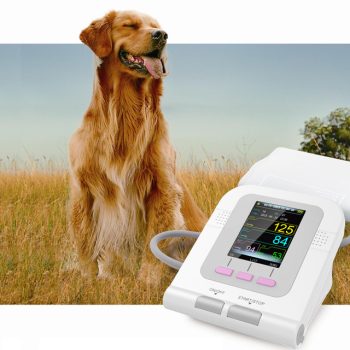 Bundle/Vet Stethscope/ VetElectronic BPM