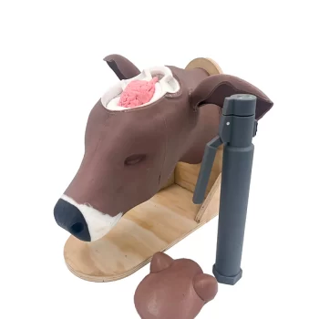 Captive Bolt Training Model