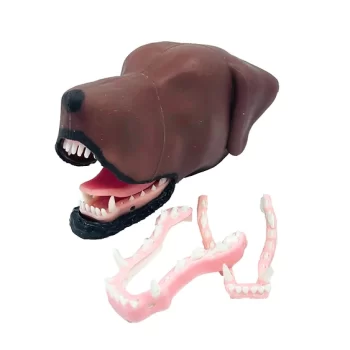 Mesocephalic Dental Dog Model