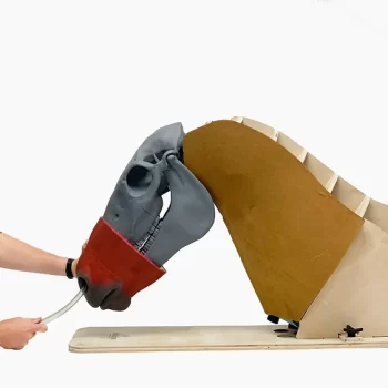 Nasogastric Intubation Horse
