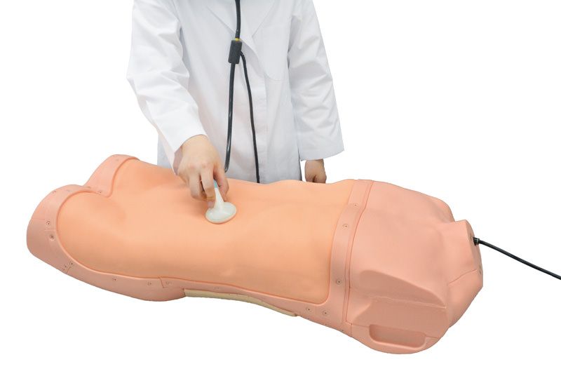 Abdominal Examination Simulator