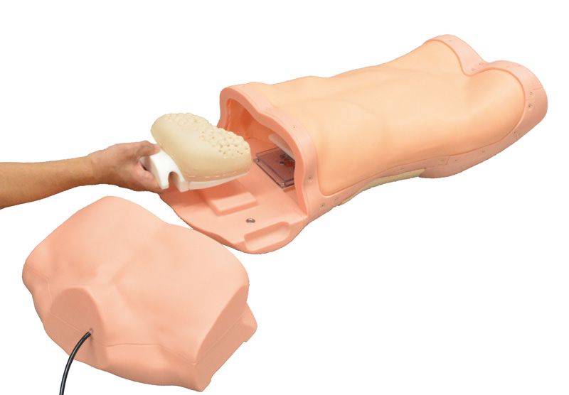 Abdominal Examination Simulator - Image 5