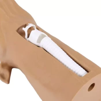 K9 Cricothyrotomy Simulator