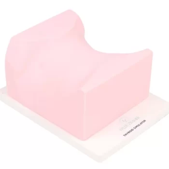 SonoEZ ultrasound trainer ‘Thyroid gland